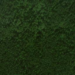 Satellite imagery of Зелёная Гора, RU