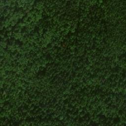 Satellite imagery of Зелёная Гора, RU