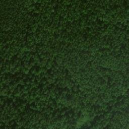 Satellite imagery of Зелёная Гора, RU