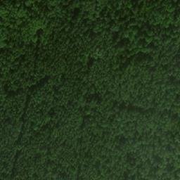 Satellite imagery of Зелёная Гора, RU