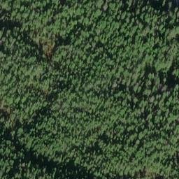 Satellite imagery of Point Benham, US
