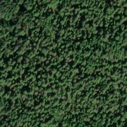 Satellite imagery of Saginaw Point, US