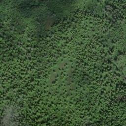Satellite imagery of Point Craven, US