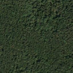 Satellite imagery of Kamen’ Vysokiy, RU