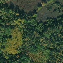 Satellite imagery of Дикая Дорога, RU