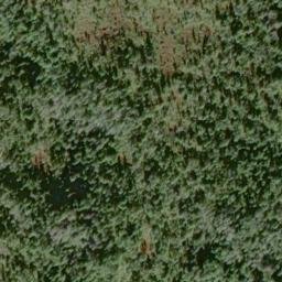 Satellite imagery of Arthur Point, US
