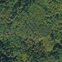 Satellite imagery of Дикая Дорога, RU