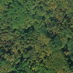 Satellite imagery of Дикая Дорога, RU