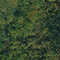 Satellite imagery of Дикая Дорога, RU