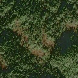 Satellite imagery of Yellow Point, US