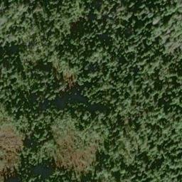 Satellite imagery of Middle Point, US