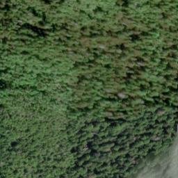 Satellite imagery of Point Leo, US