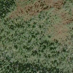 Satellite imagery of Fish Point, US