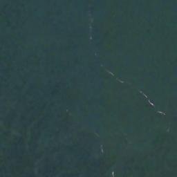 Satellite imagery of Fish Point, US