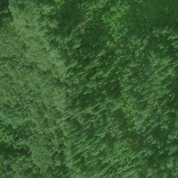 Satellite imagery of Point Hobart, US