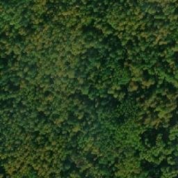 Satellite imagery of Берёзовая гора, RU