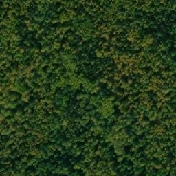 Satellite imagery of Берёзовая гора, RU