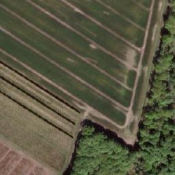 Satellite imagery of Gedebjerg, DK