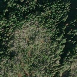Satellite imagery of Scraggy Point, US
