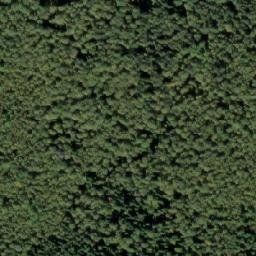 Satellite imagery of Kamen’ Shilo, RU