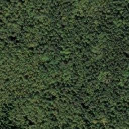 Satellite imagery of Kamen’ Shilo, RU