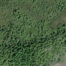 Satellite imagery of Point Pybus, US