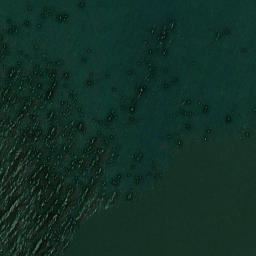 Satellite imagery of Point Walpole, US