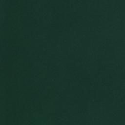 Satellite imagery of Fort Point, US