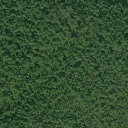 Satellite imagery of Fort Point, US