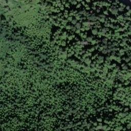 Satellite imagery of South Point, US