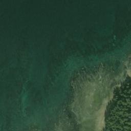 Satellite imagery of McNairy Point, US