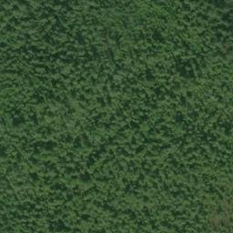 Satellite imagery of McNairy Point, US