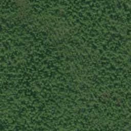 Satellite imagery of McNairy Point, US