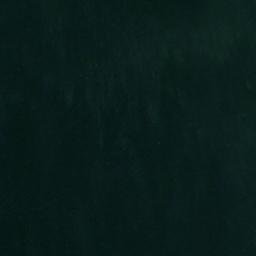Satellite imagery of Black Point, US