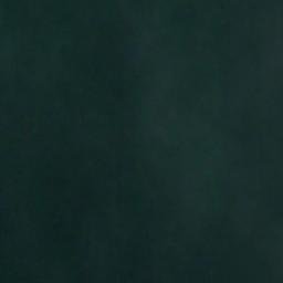 Satellite imagery of Flag Point, US