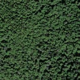 Satellite imagery of North Point, US
