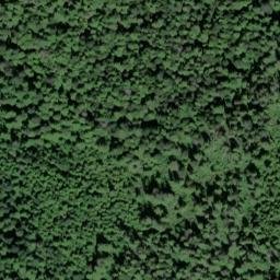 Satellite imagery of North Point, US