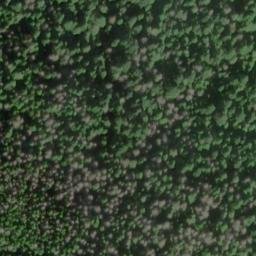 Satellite imagery of Rocky Point, US