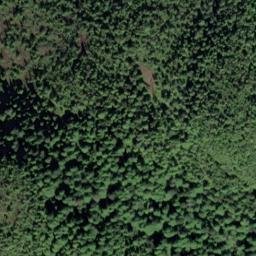 Satellite imagery of Point Turbot, US