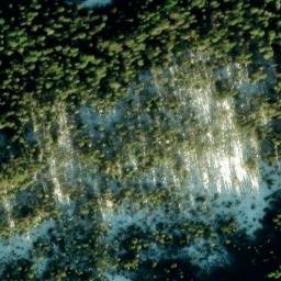Satellite imagery of File Point, US