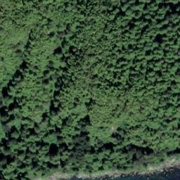 Satellite imagery of Point Turbot, US