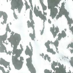 Satellite imagery of Alpha Mountain, CA