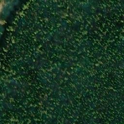 Satellite imagery of Kamen’ Sibirskiy, RU