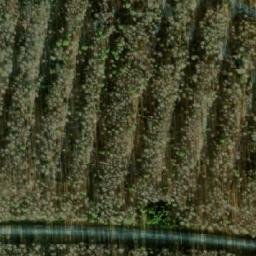 Satellite imagery of Kamen’ Siniy, RU