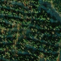 Satellite imagery of Kamen’ Sibirskiy, RU