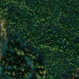 Satellite imagery of Kamen’ Sibirskiy, RU