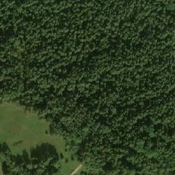 Satellite imagery of Zilumiezis, LV