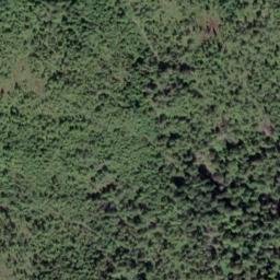 Satellite imagery of Deer Point, US