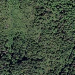 Satellite imagery of Deer Point, US