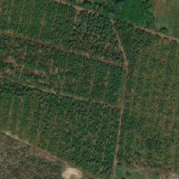 Satellite imagery of Østerild Wind Turbine Test Center Light Mast North, DK